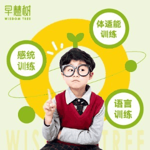 青岛早慧树儿童感统体能训练中心机构标识