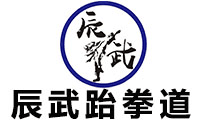 青岛辰武跆拳道机构标识