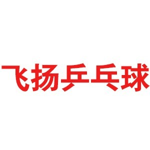 飞扬乒乓球培训机构标识