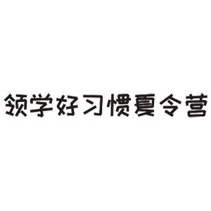 上海领学好习惯军事夏令营机构标识