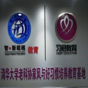北京智新超越夏令营机构标识