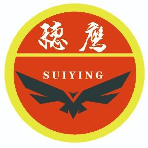 广州穗鹰青少年夏令营机构标识