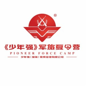 深圳少年强夏令营机构标识