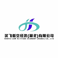 武汉汉飞低空无人机培训中心机构标识