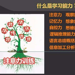 南京金色雨林能优教育机构标识