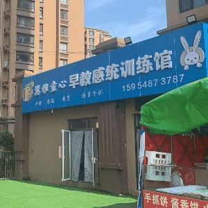 慧稚童心早教感统训练馆机构标识