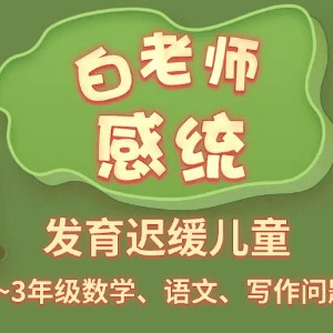 石家庄白老师感统训练工作室机构标识