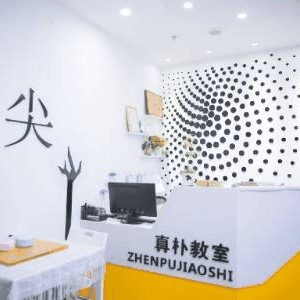 真朴儿童围棋教室_bj机构标识
