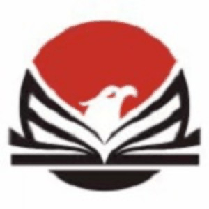 上海飞纵教育机构标识