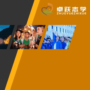 北京卓跃志学机构标识
