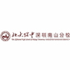 北大附中深圳南山分校机构标识
