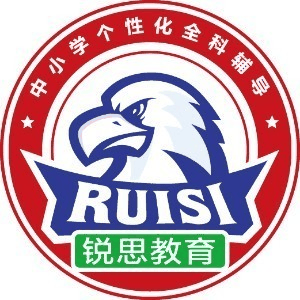 合肥锐思教育机构标识