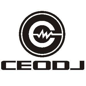 天津CEODJ培训学校机构标识
