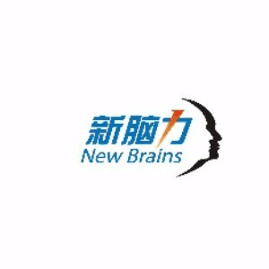 安徽新脑力教育机构标识
