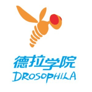 成都德拉培训机构标识