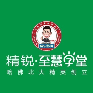 成都精锐至慧学堂机构标识