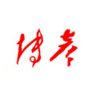 杭州博彦教育机构标识
