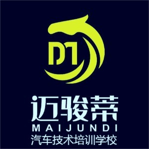 武汉市迈骏蒂职业技术培训机构标识