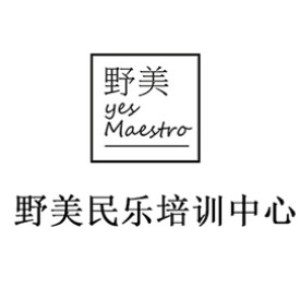 武汉野美民乐培训机构标识