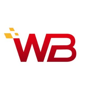 河北微宝云信息技术机构标识