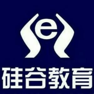 济南硅谷教育机构标识