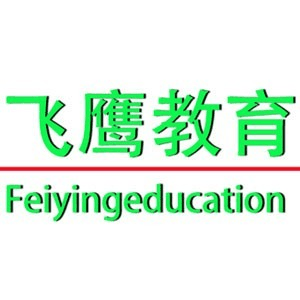 济南飞鹰教育机构标识