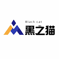 济南黑之猫it培训基地机构标识