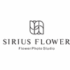 深圳SiriusFlower怦然花舍机构标识