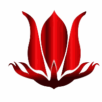 深圳洛神教育中心机构标识