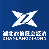 湖北战狼飞行学院机构标识