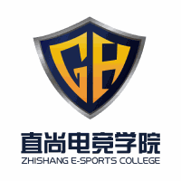 湖南直尚电竞学院机构标识