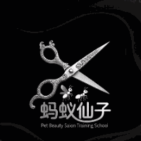 福州蚂蚁仙子宠美沙龙学校机构标识