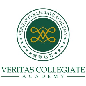 美国威睿达思(深圳校区)机构标识