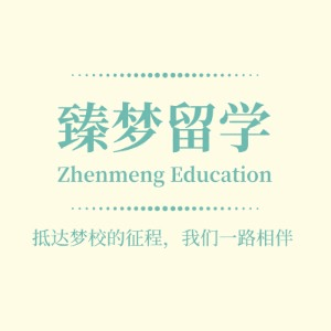 臻梦教育机构标识