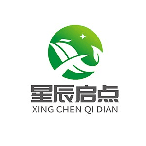 西安启点教育考证机构标识