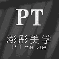 PT美甲美睫半永久化妆培训学校机构标识