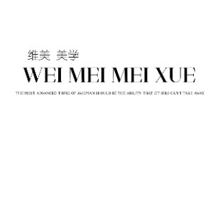 上海维美半永久纹绣美甲美睫培训机构标识
