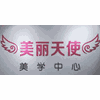 上海美丽天使美学培训中心机构标识