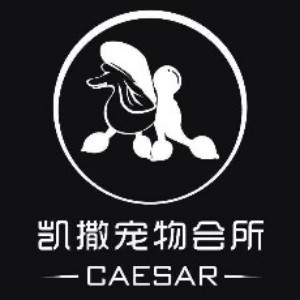 大连凯撒宠物美容培训机构标识