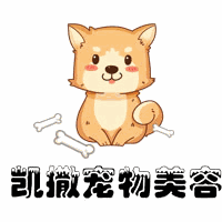 大连凯撒宠物美容培训学校机构标识