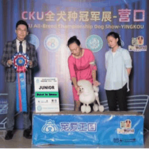 大连美毅宠物美容机构标识