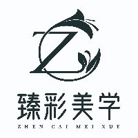 天津臻彩美学教育机构标识