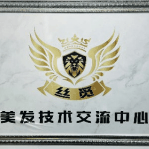 太原丝觅美发培训机构标识