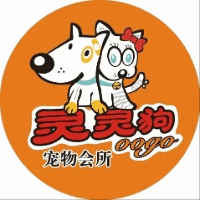 温州灵灵狗宠物美容培训学校机构标识