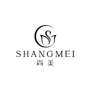 绵阳尚美学校机构标识
