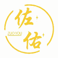 聊城佐佑美学形象设计学院机构标识