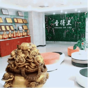 西安圣得兰东尼化妆美发培训机构标识