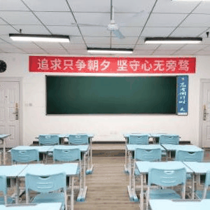 西安成才教育升学规划机构标识