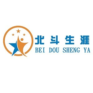 青岛北斗生涯机构标识
