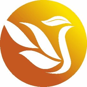 匠巢职业技能培训学校机构标识